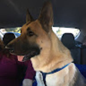 Meet your Posher, Marisol